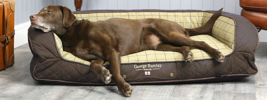 George Barclay Luxury Orthopaedic Dog Beds – Redpaw Pet Supplies Shop